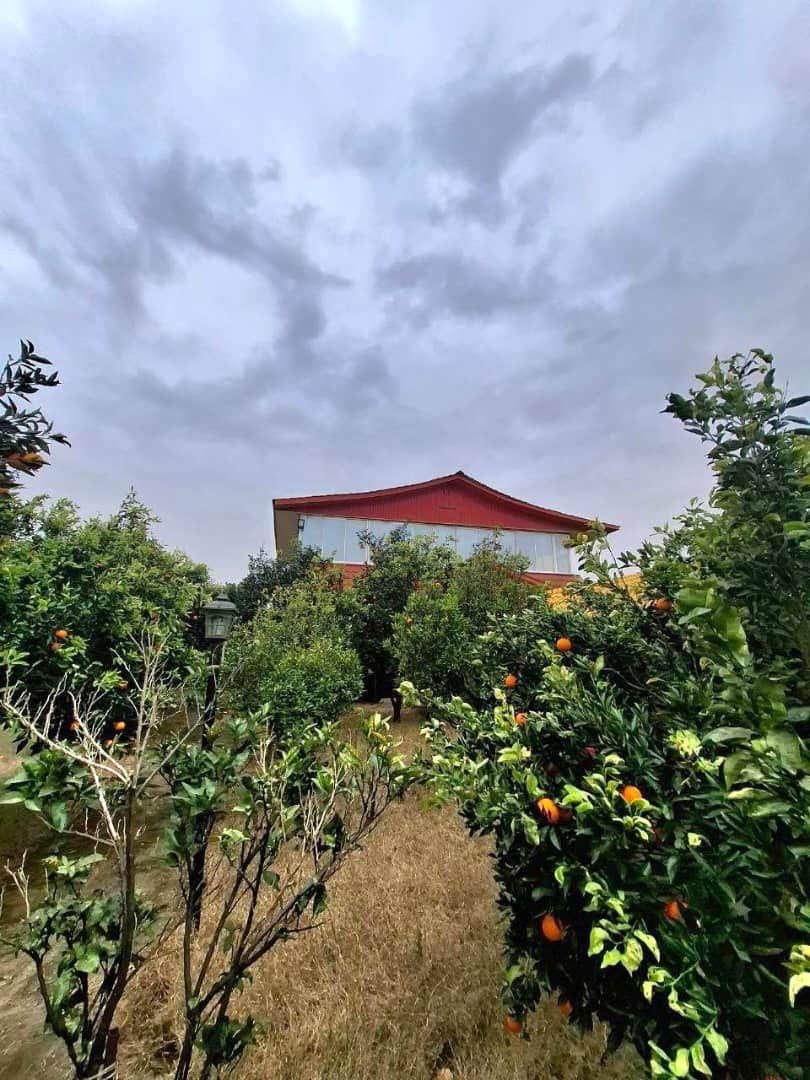 باغویلا2500مترسندو پروانه درختان مرکبات فریدونکنار|فروش خانه و ویلا|فریدون‌کنار, |دیوار