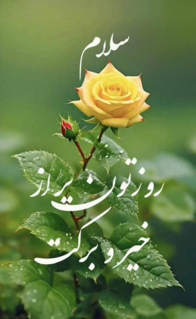 چرخکار ماهرم|اسکان اضطراری|گلستان (تهران), |دیوار