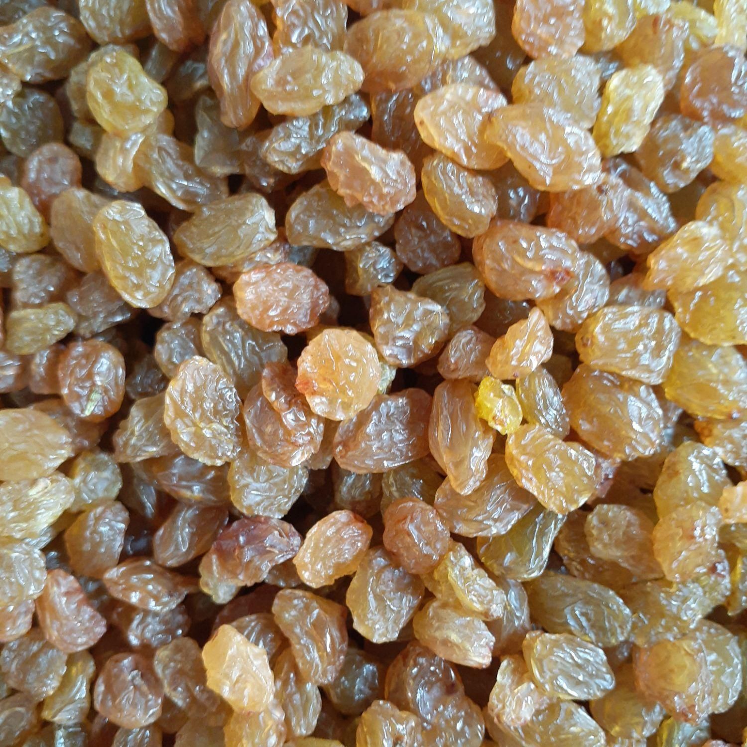 پخش انواع کشمش، با تخفیفات ویژه|خوردنی و آشامیدنی|تاکستان, |دیوار