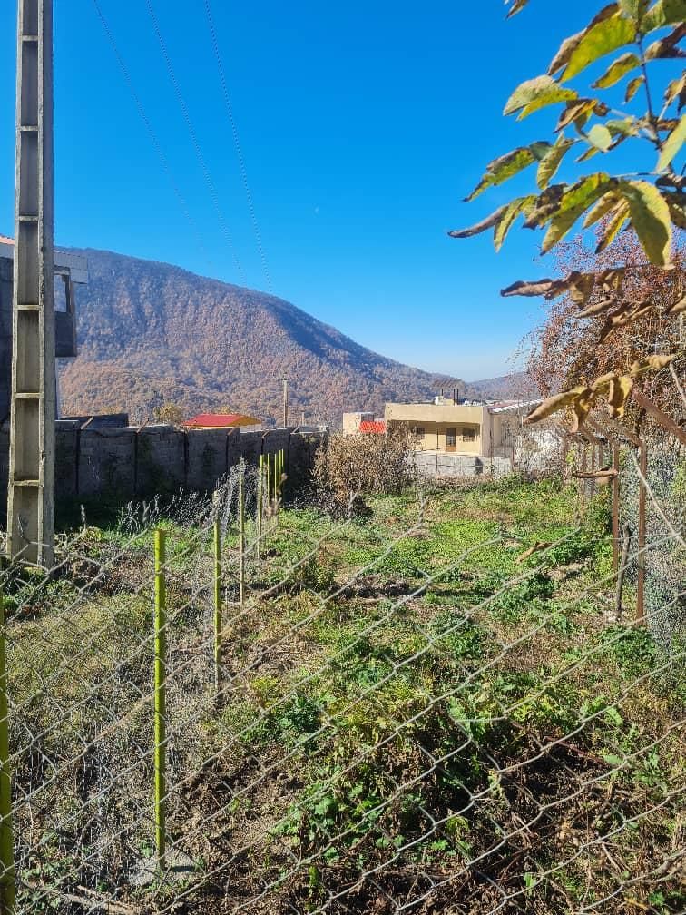 زمین آماده ساخت باپروانه روستای ریگ چشمه|فروش زمین و ملک کلنگی|فاضل آباد, |دیوار