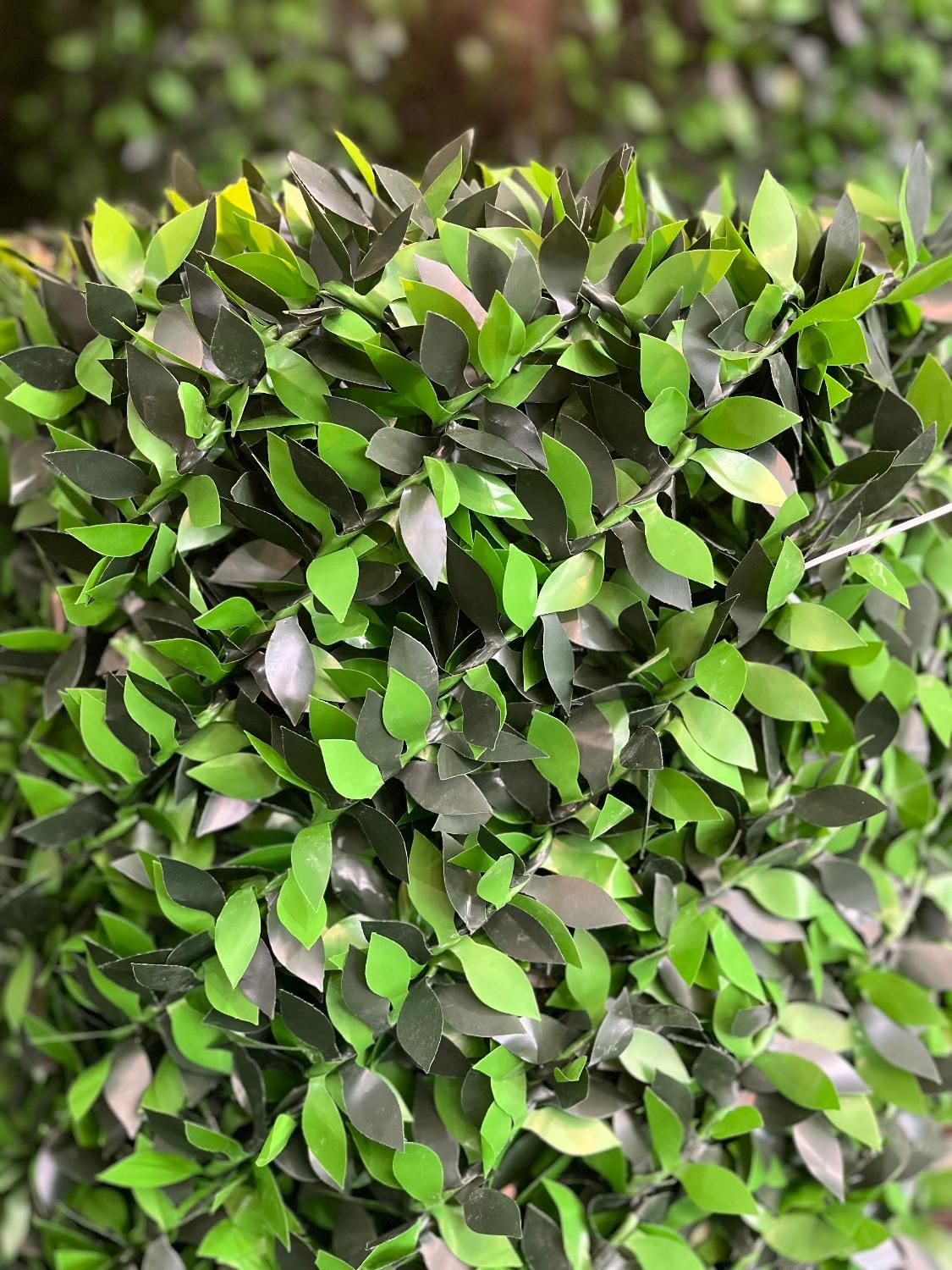 فنس چمنی و فنس برگی|خدمات باغبانی و درختکاری|کرج, گلدشت|دیوار