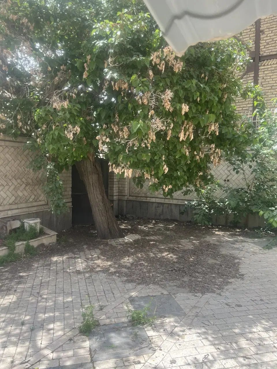 ویلایی ۱۸۲ متر . هاشمی نژاد . شیرازی . کاشانی|فروش خانه و ویلا|مشهد, شهید هاشمی نژاد|دیوار