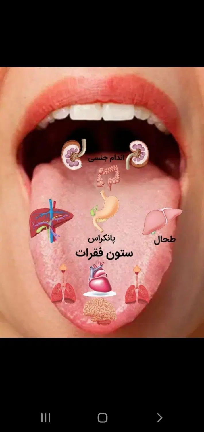 تشخیص تمام بیماریها ازروی زبان|خدمات آرایشگری و زیبایی|مشهد, حرم مطهر رضوی|دیوار