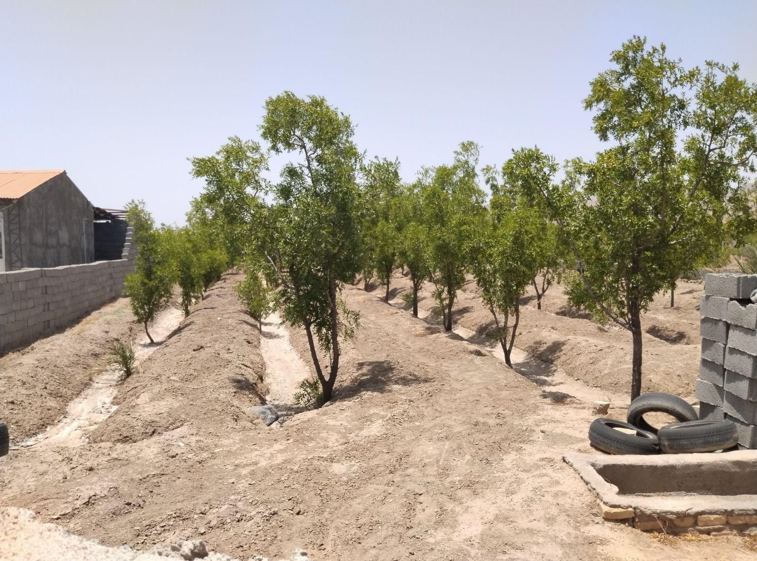 تصویر 3