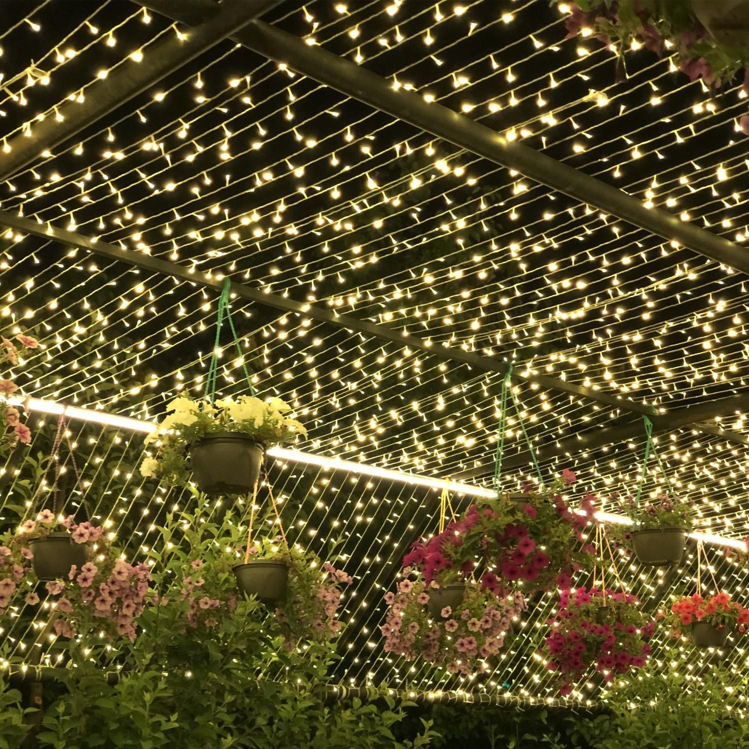 ریسه سوزنی آفتابی 25 متری|ریسه و چراغ تزئینی|ارومیه, |دیوار