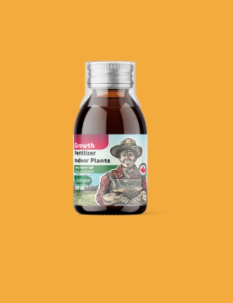 پک کامل گل و گیاهان آپارتمانی|گل و گیاه طبیعی|کرمان, |دیوار