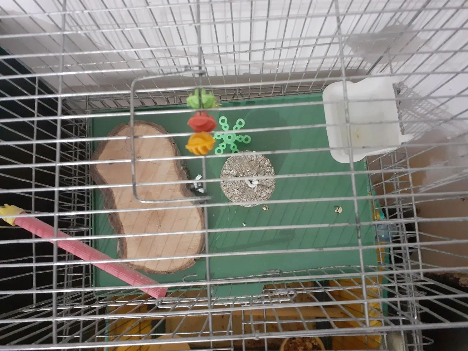 قفس بزرگ و کوچیک و لوازم جانبی|لوازم جانبی حیوانات|کرمانشاه, |دیوار