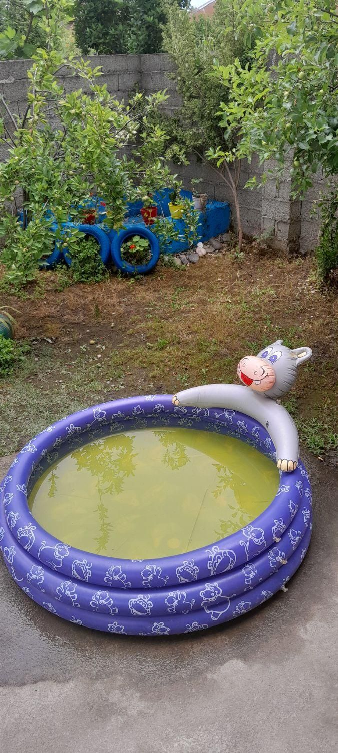 استخر بادی بزرگ|غواصی و ورزشهای آبی|رشت, حمیدیان|دیوار