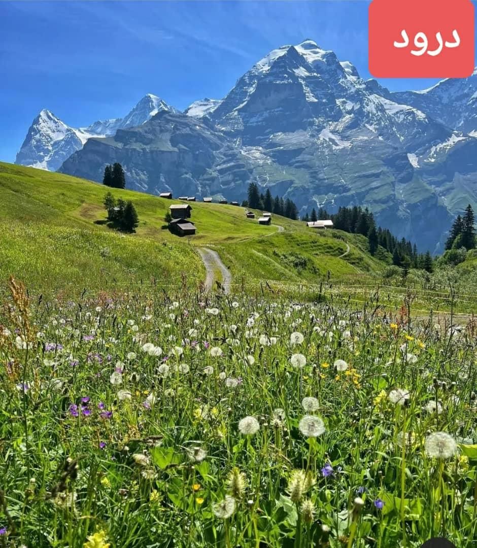 اکیب کارگر دارم برانخودهویچ سیب زمینی و...|خدمات باغبانی و درختکاری|دهگلان, |دیوار