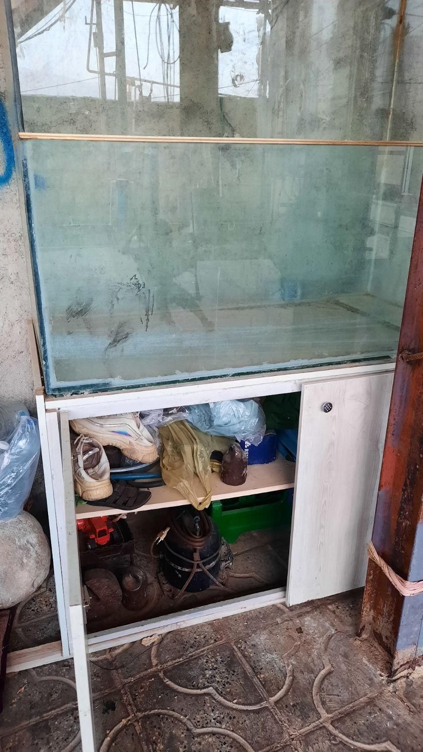 آکواریوم|ماهی|هندمینی, |دیوار