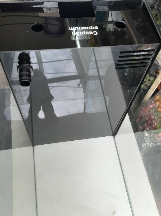 کارگاه تولیدی آکواریوم ریملس|ماهی|اردبیل, |دیوار