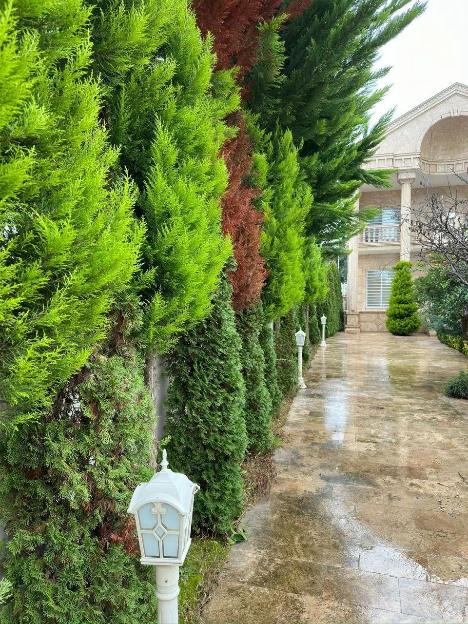 فروش آپارتمان ۸۰ متری ۲ خوابه علامه‌ (طالقانی)|فروش آپارتمان|شاهین‌شهر, طالقانی|دیوار