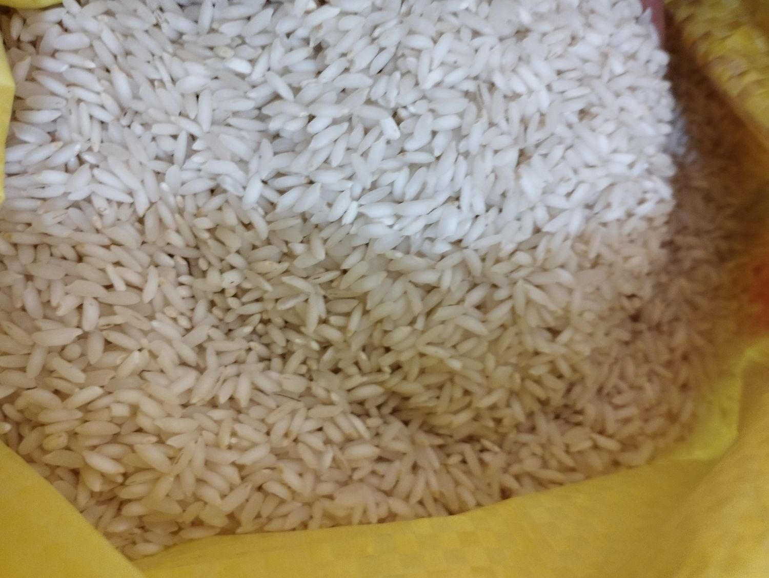 برنج عنبربو خوزستان|خوردنی و آشامیدنی|بروجرد, |دیوار