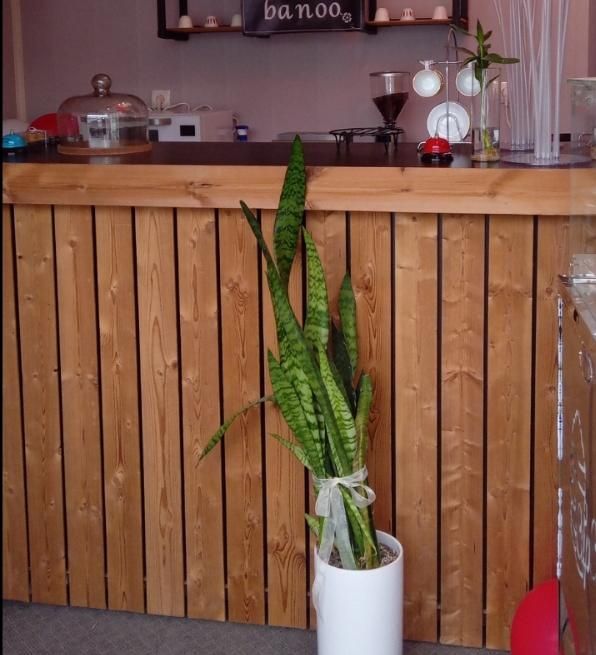 میز پیشخوان|کافیشاپ و رستوران|مسجد سلیمان, |دیوار