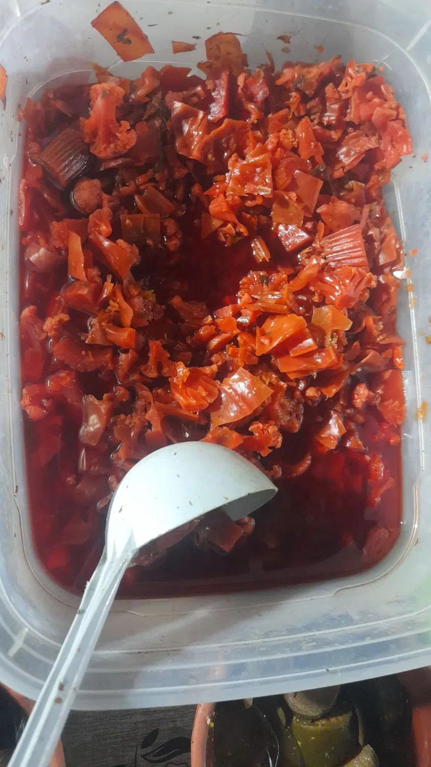 ترشیجات چاشنی دل|خوردنی و آشامیدنی|تهران, شهرک ولیعصر شمالی|دیوار