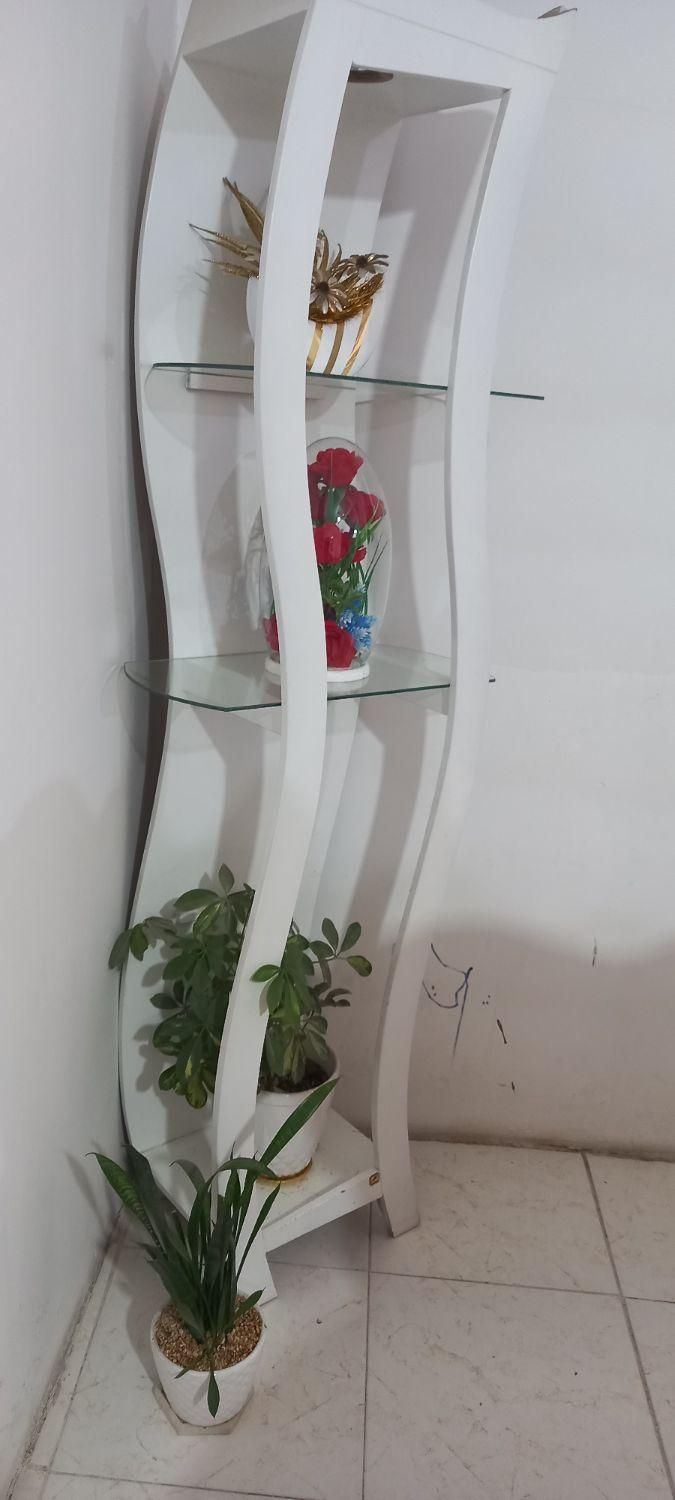 استند چوبی|کتابخانه، شلف، قفسه‌های دیواری|قدس, |دیوار