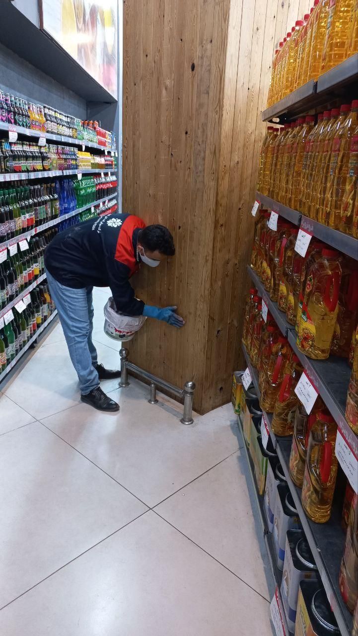 سمپاشی تخصصی منازل و ادارات و کارخانه ها|خدمات نظافت|کرمانشاه, |دیوار