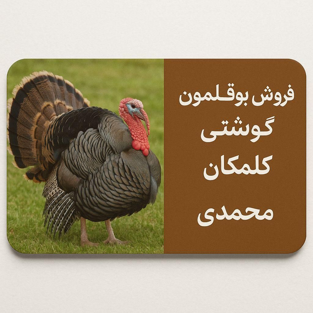 فروش بوقلمون گلمکان|حیوانات مزرعه|مشهد, فردوسی|دیوار