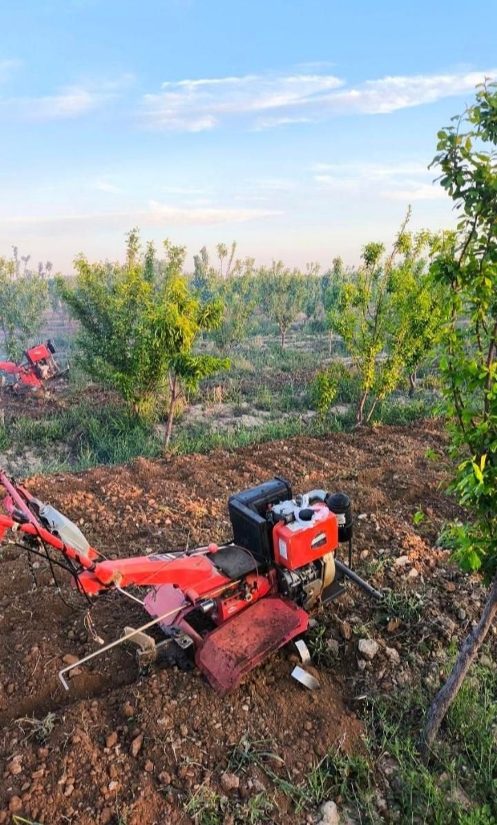 شخم باغات و گلخانه با دو دستگاه تیلر دیزلی ۱۲ اسب|خدمات باغبانی و درختکاری|کرمانشاه, |دیوار