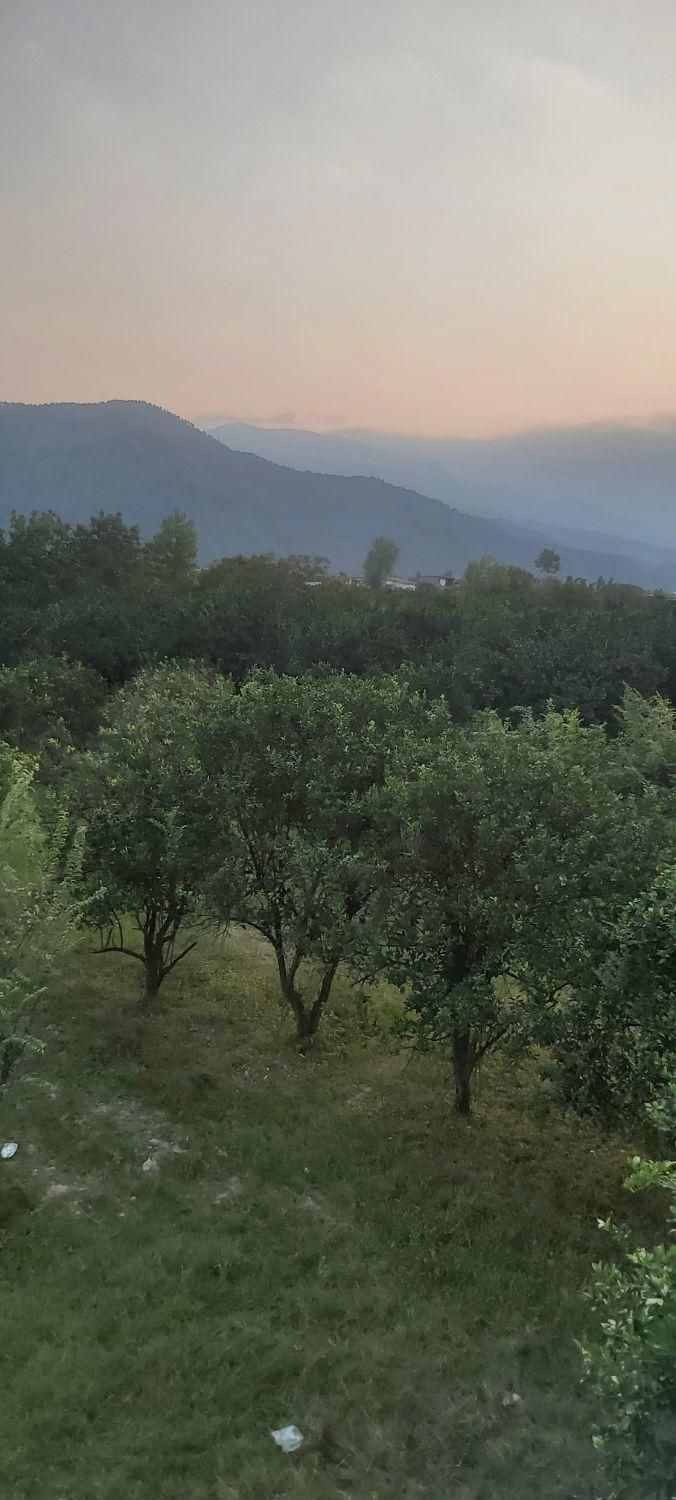 اجاره روزانه/هفتگی/ماهانه سالیانه آپارتمان ۹۰ متری|اجارهٔ کوتاهمدت آپارتمان و سوئیت|گلوگاه, |دیوار