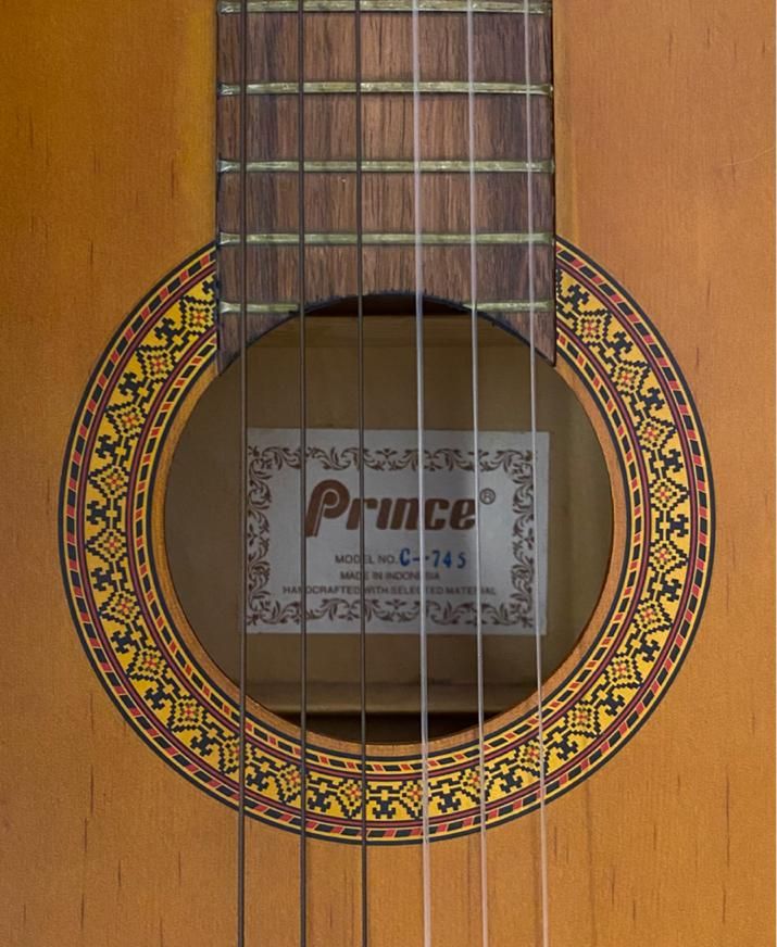 گیتار کلاسیک Prince C-745 کاملاً سالم|گیتار، بیس، امپلیفایر|رشت, گلسار|دیوار