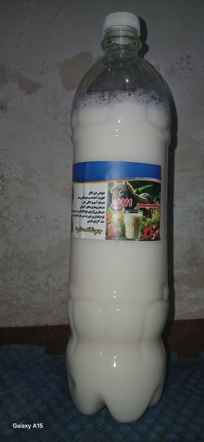 شیرالاغ تازه|خوردنی و آشامیدنی|خرمدره, |دیوار