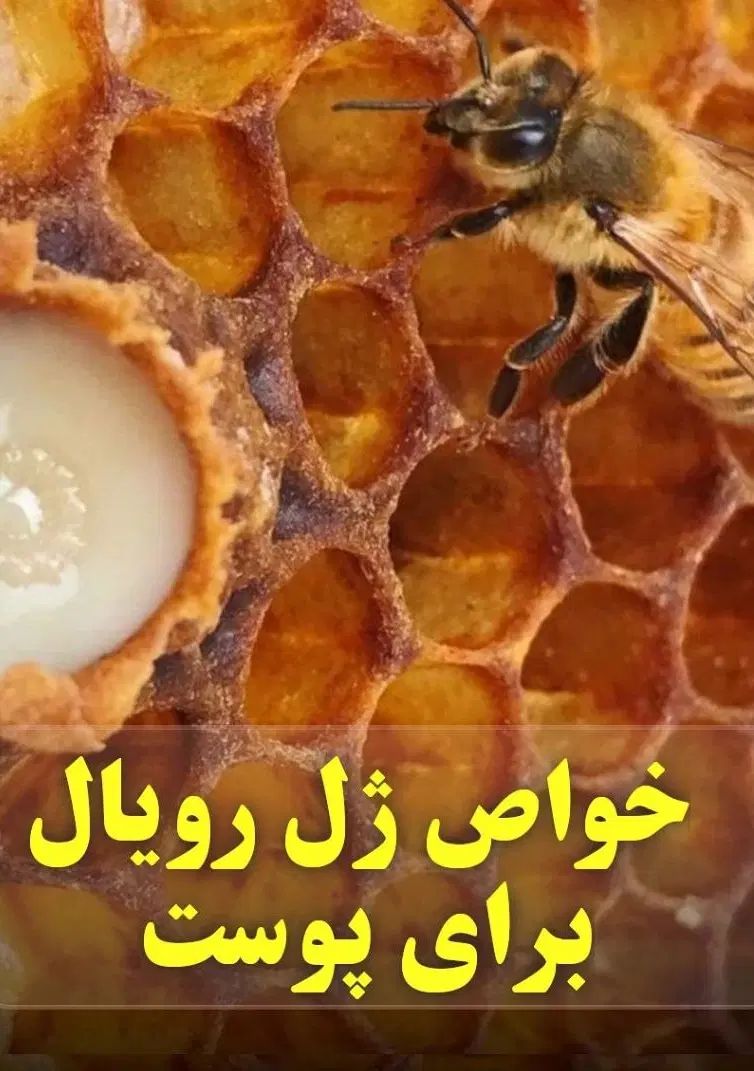 کرم رویال رفع لک.جوش سرسیاه.جوانسازی اصلی|آرایشی، بهداشتی، درمانی|دورود, |دیوار