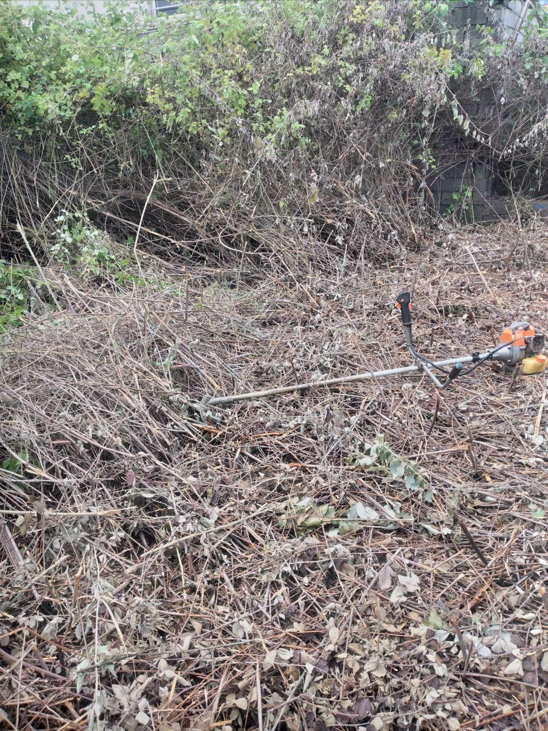 علفتراشی سمپاشی باغچه و نگهداری ویلاها|خدمات باغبانی و درختکاری|سلمان‌شهر, |دیوار