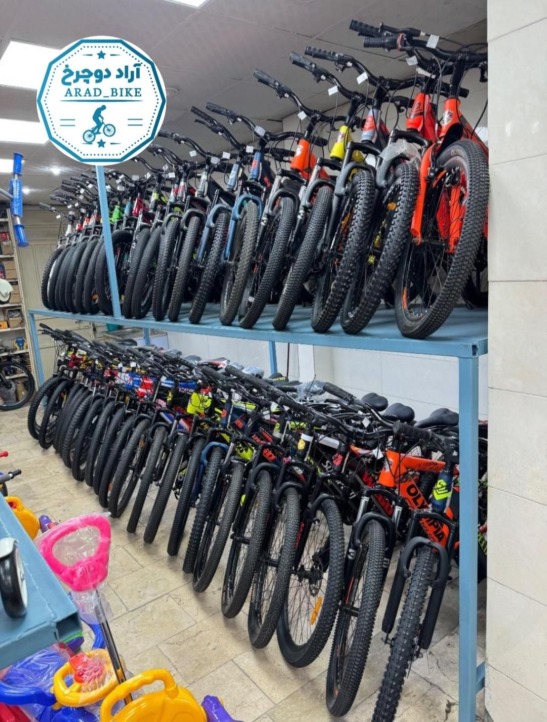 پخش دوچرخه((نمایندگی آراد دوچرخ))|دوچرخه، اسکیت، اسکوتر|ساوه, |دیوار
