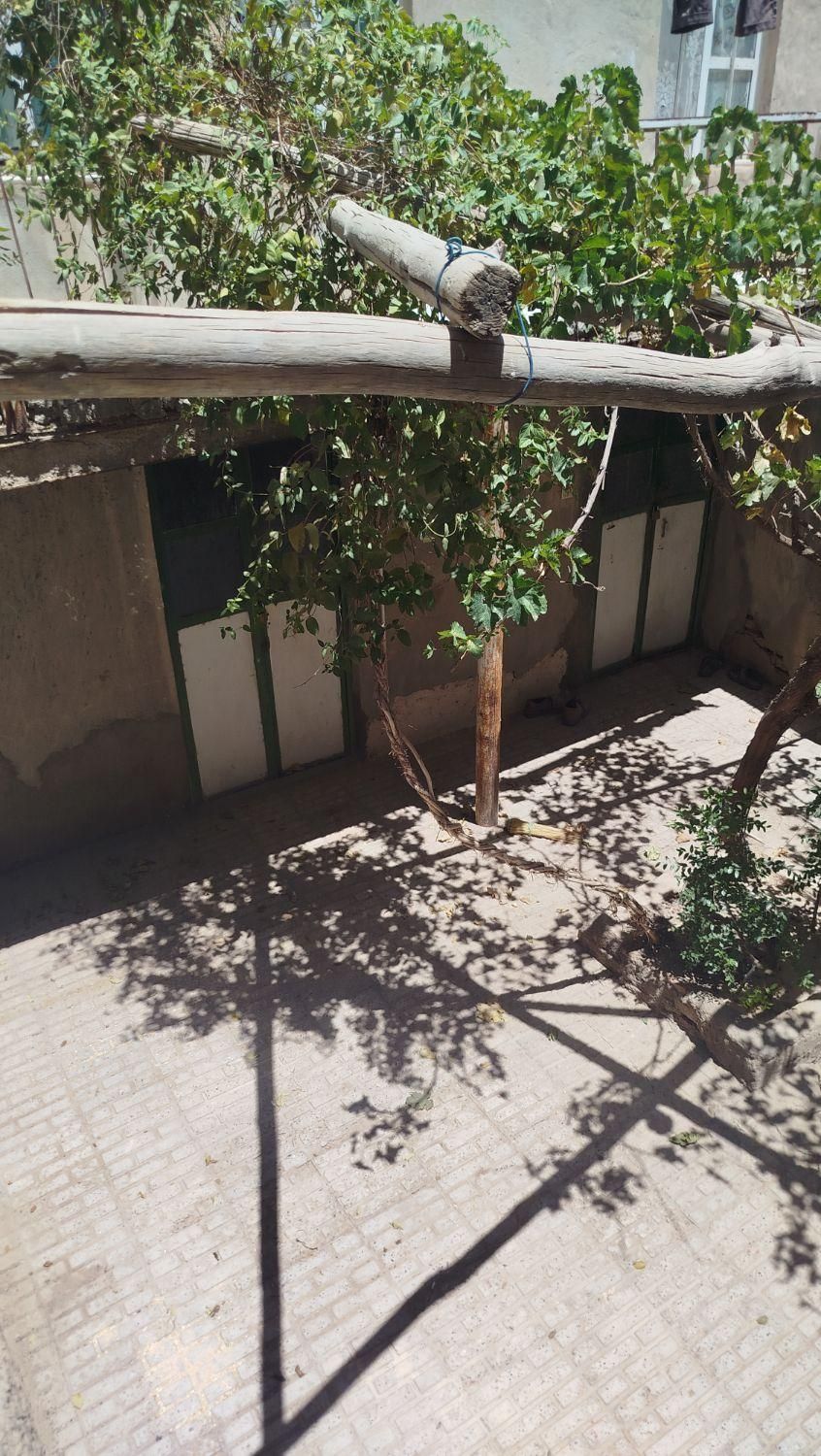 تصویر 3