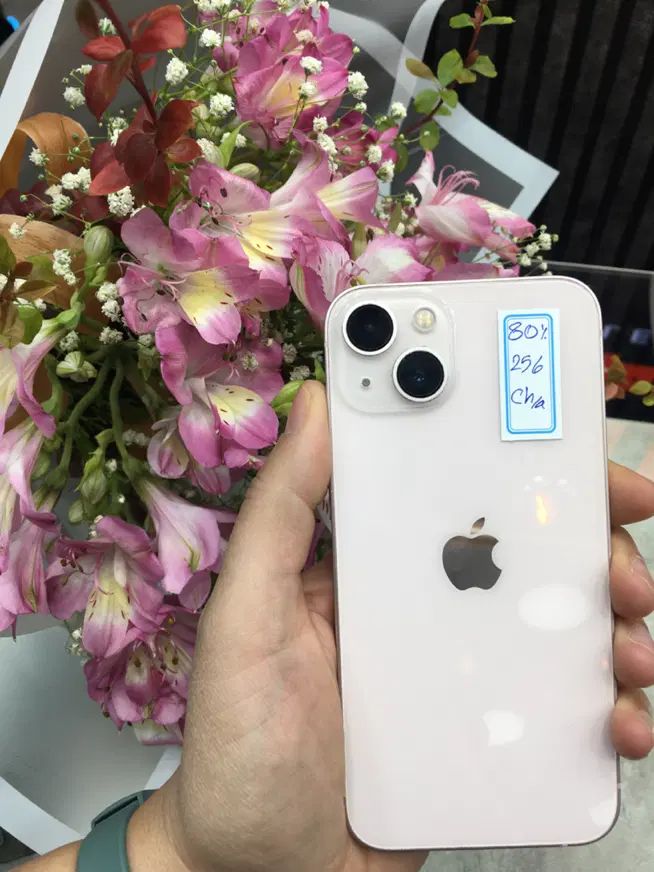 Iphone 13|موبایل|اصفهان, باغ زرشک|دیوار