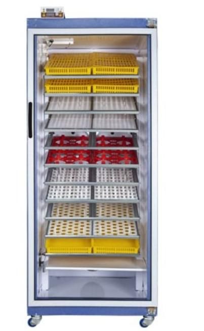 دستگاه جوجه کشی 1850 تایی|لوازم جانبی حیوانات|کیاکلا, |دیوار