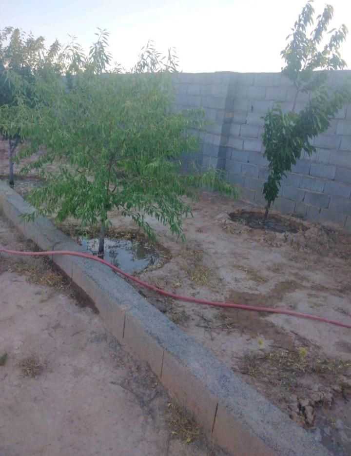 فروش زمین ۵۰۰ متری در روستای زاگ|فروش زمین و ملک کلنگی|مشهد, درزآب|دیوار
