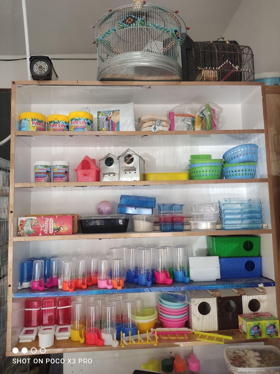 قصر پرنده انواع قفس پرنده و قفس و ملزومات پرنده|لوازم جانبی حیوانات|مشهد, آزادشهر|دیوار