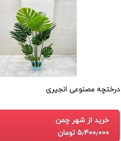 درختچه برگ انجیری(ورق‌بزنید)|گل مصنوعی|قائن, |دیوار