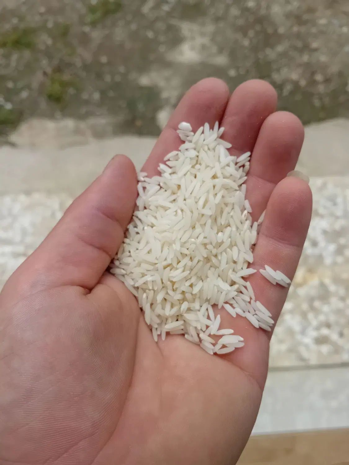 برنج|خوردنی و آشامیدنی|تهران, آرارات|دیوار