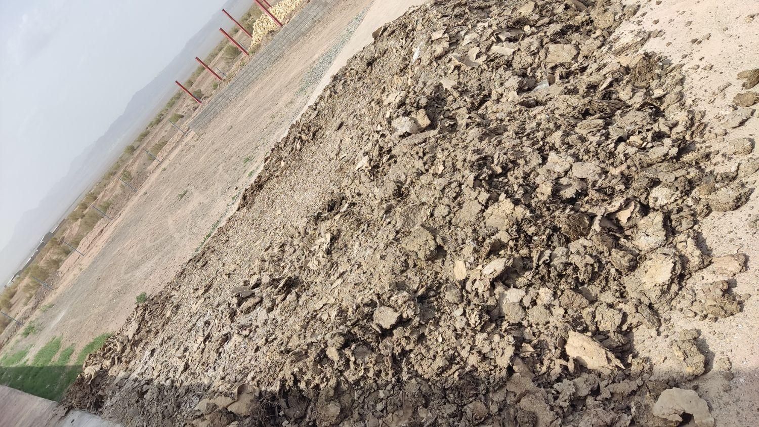 کودمرغ گوشتی|خدمات باغبانی و درختکاری|سبزوار, رباط|دیوار