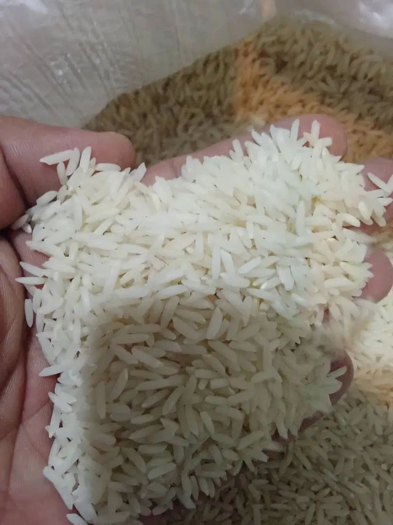 برنج هاشمی محلی صومعه‌سرا گیلان|خوردنی و آشامیدنی|تهران, سبلان (لشگر)|دیوار