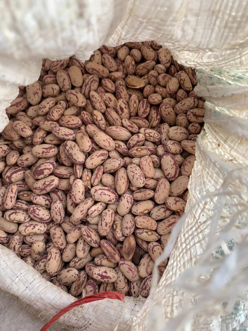 لوبیا چیتی|خوردنی و آشامیدنی|مشهد, اروند|دیوار