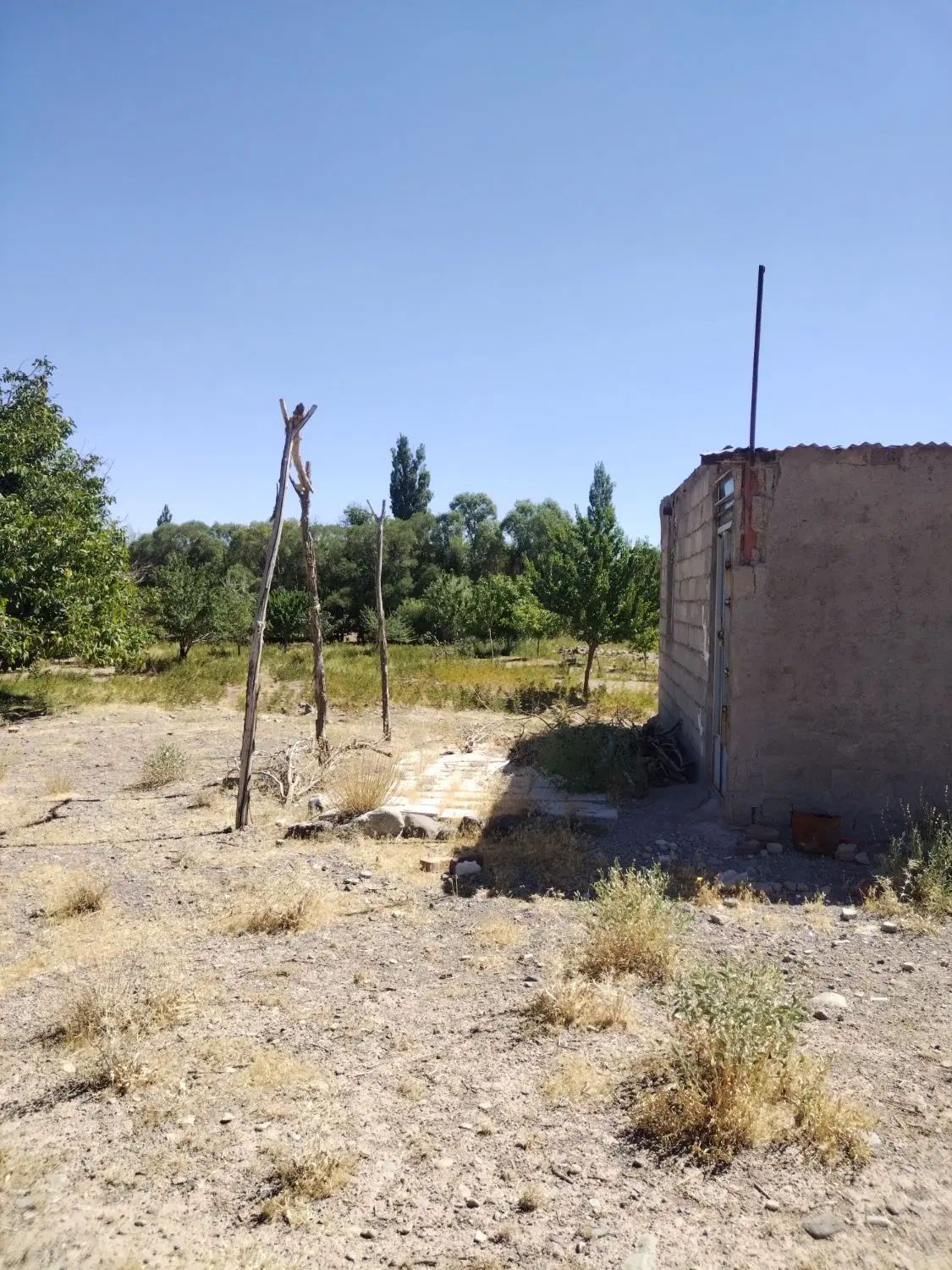 فروش ومعاوضه زمین وباغ درروستای قلعه عسکر|فروش زمین و ملک کلنگی|بافت, |دیوار