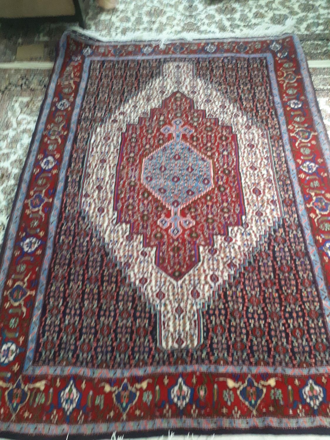 فرش پرده ای دستافت نقشه کلاه فرنگ|فرش|سنندج, |دیوار