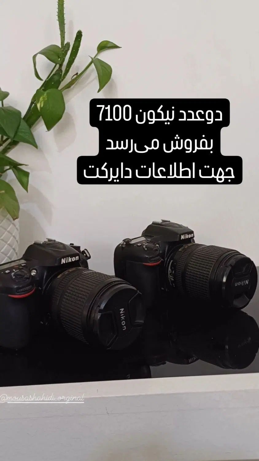 دوربین فیلمبرداری|دوربین عکاسی و فیلم‌برداری|مشهد, حرم مطهر رضوی|دیوار