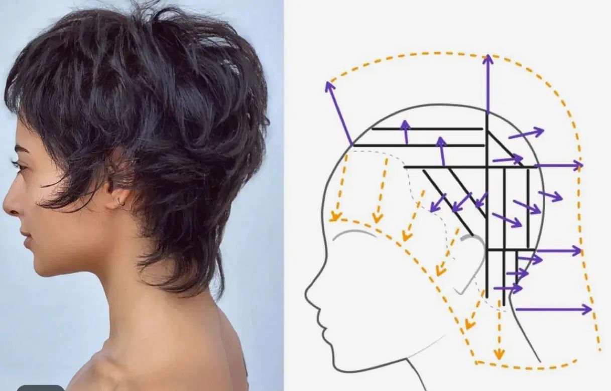آموزش ‌خدمات فوق تخصصی کوتاهی  مو  فاندامنتال|خدمات آموزشی|قزوین, |دیوار