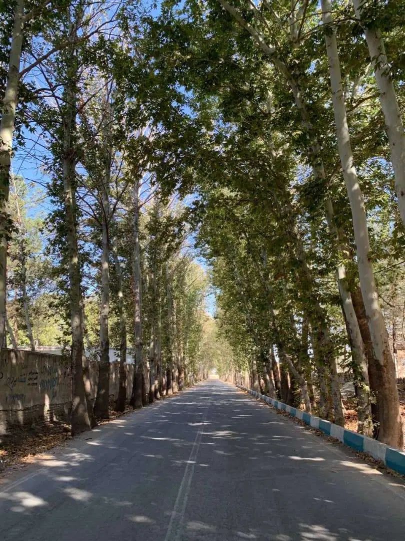 باغچه 410 متر سندتک برگ در بافت مسکونی فول امکانات|فروش زمین و ملک کلنگی|شهریار, بکه|دیوار