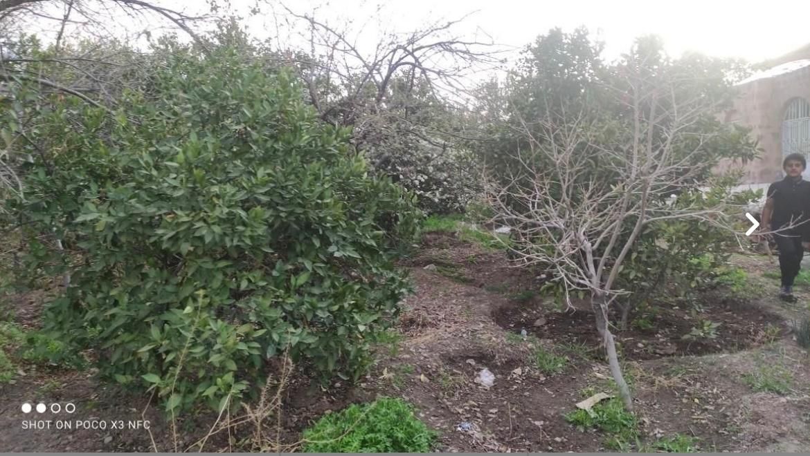 باغ سقدر 35 کیلومتر بعد از جیرفت به سمت مسکون|فروش خانه و ویلا|کهنوج, |دیوار