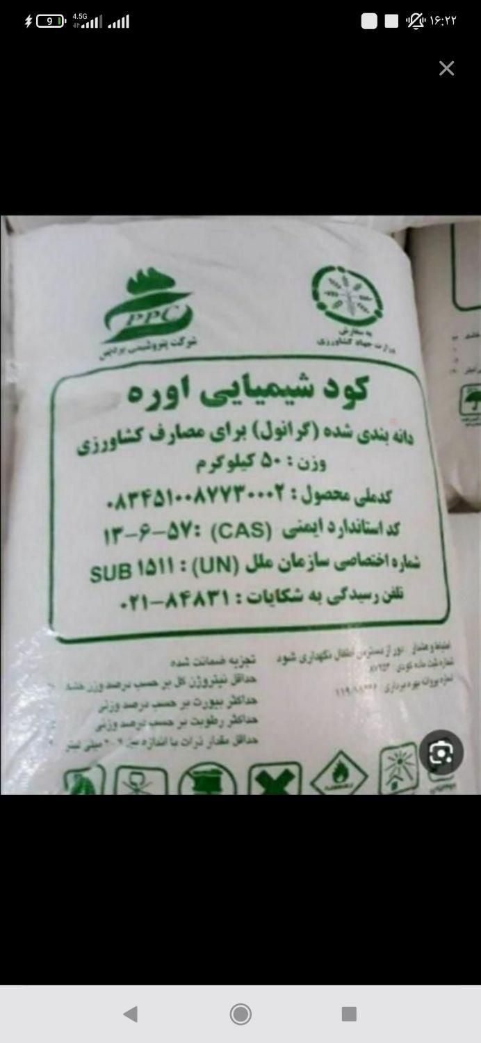 کود سفید|گل و گیاه طبیعی|گنبد کاووس, |دیوار