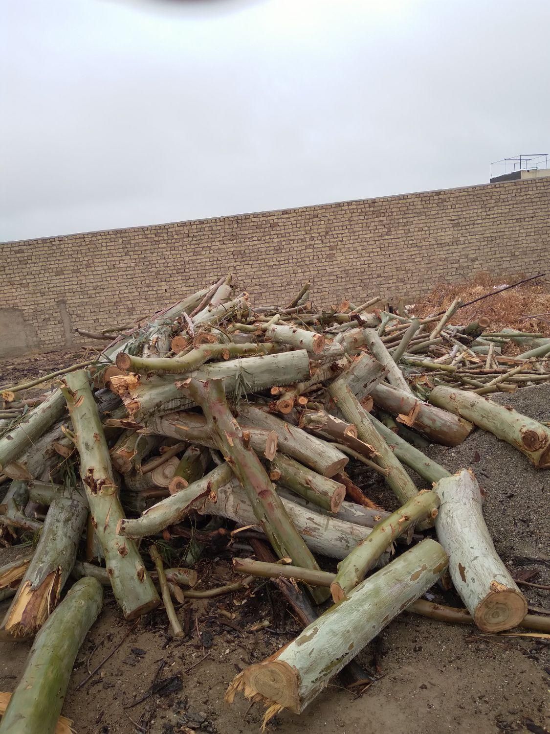 خریدار انواع چوب|خدمات باغبانی و درختکاری|ساوه, |دیوار