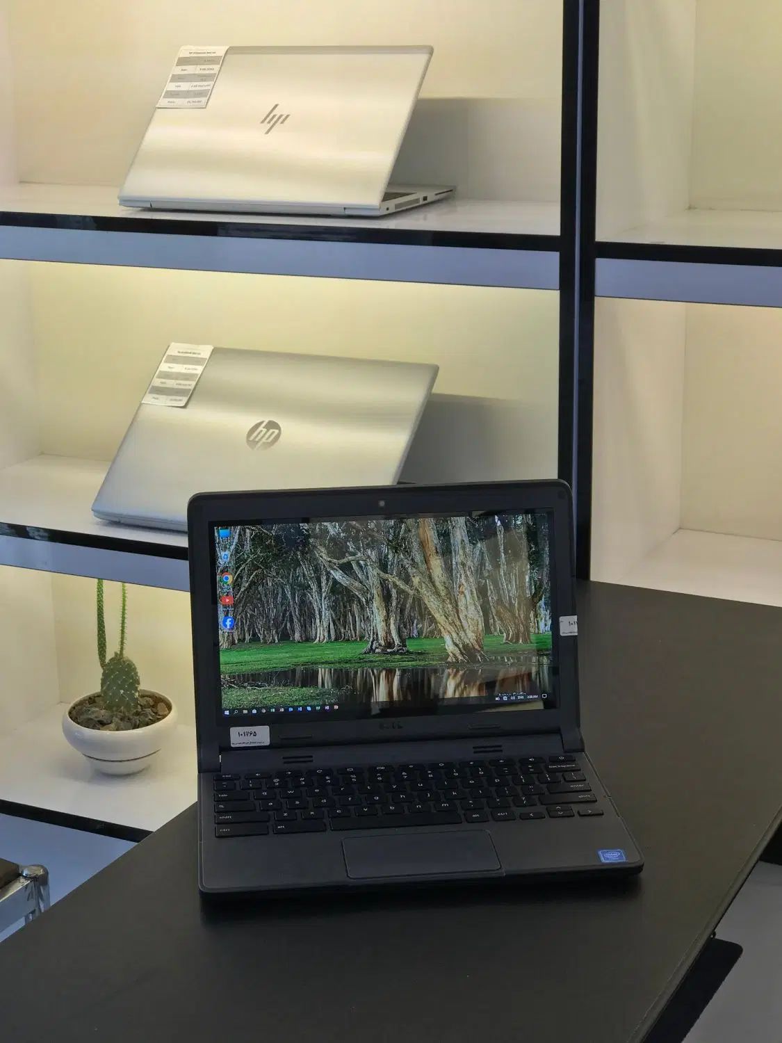 لپ تاپ Dell Chromebook|رایانه همراه|همدان, |دیوار