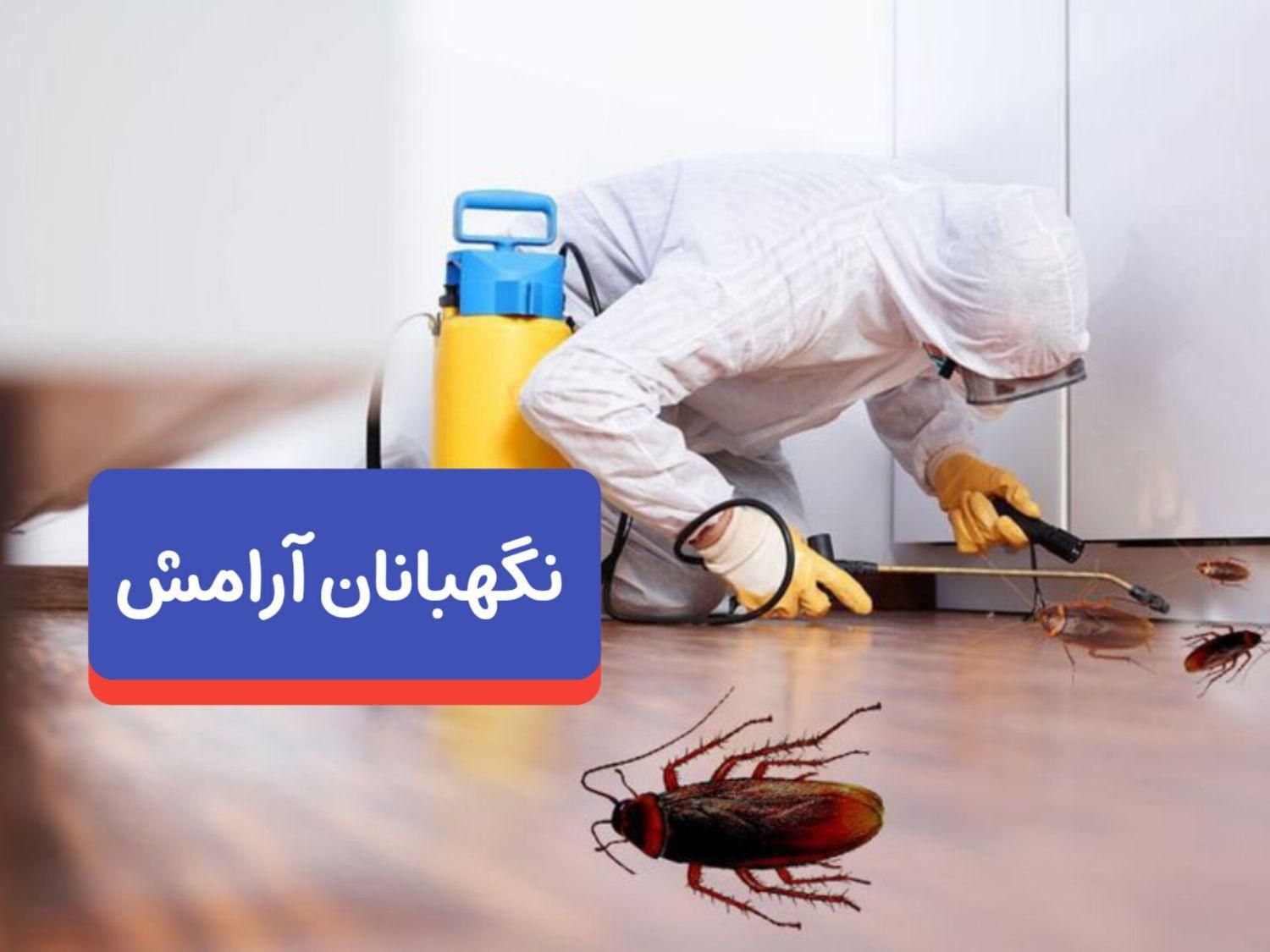 از بین بردن تضمینی  ساس، کنه،  سوسک|خدمات نظافت|نیشابور, شهرک فرهنگیان|دیوار