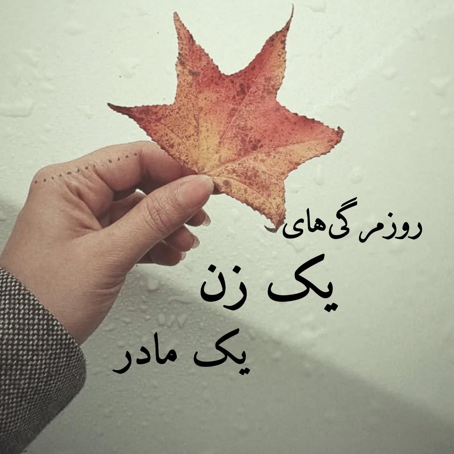 کتاب بارداری و تربیت کودک|کتاب و مجله آموزشی|تهران, درب دوم|دیوار